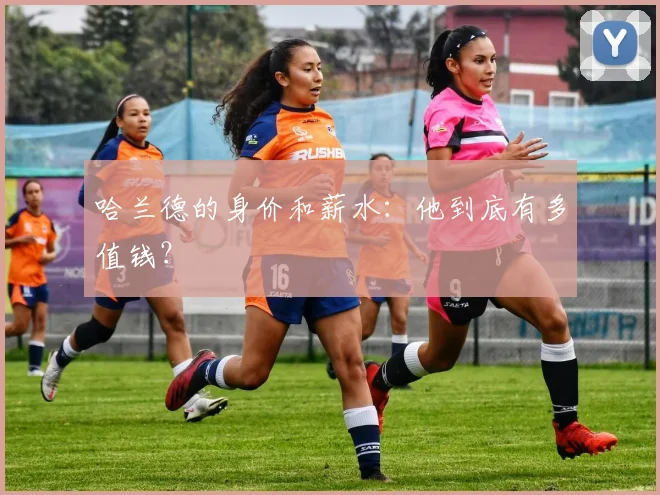 哈兰德的身价和薪水:他到底有多值钱?
