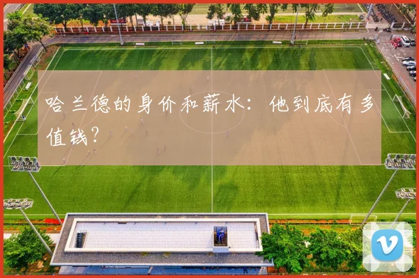 哈兰德的身价和薪水:他到底有多值钱?